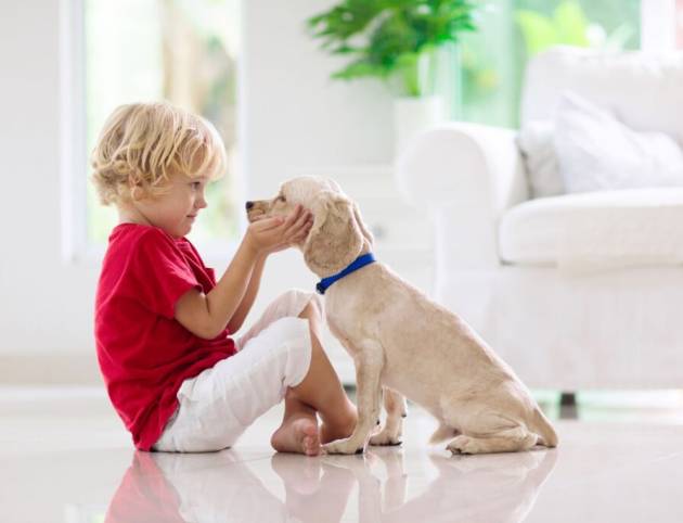 Kid-and-Dog-on-the-floor-Low-Res-1024x683